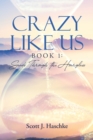 Image for Crazy Like Us: Sands Through the Hourglass