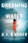 Image for Dreaming of water  : a novel
