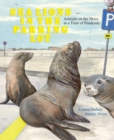 Image for Sea Lions in the Parking Lot