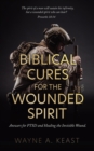 Image for Biblical Cures for the Wounded Spirit