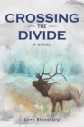 Image for Crossing the Divide: A Novel