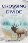 Image for Crossing the Divide