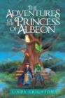 Image for The Adventures of the Princess of Albeon