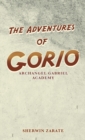Image for The Adventures of Gorio : Archangel Gabriel Academy