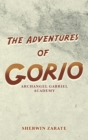 Image for Adventures of Gorio: Archangel Gabriel Academy