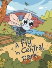 Image for Fly in Central Park