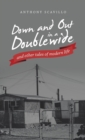Image for Down and out in a Doublewide and Other Tales of Modern Life