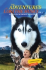 Image for The Adventures of Loki - the Husky