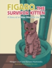 Image for Figaro the Survivor Kitten