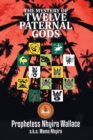 Image for The Mystery of Twelve Paternal Gods : Paternal Spirit ( Ntor)