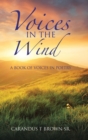 Image for Voices in the Wind : A Book of Voices in Poetry