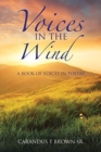 Image for Voices in the Wind : A Book of Voices in Poetry