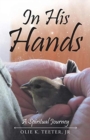 Image for In His Hands : A Spiritual Journey