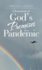 Image for Pocketbook of God&#39;s Promises in a Pandemic
