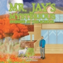 Image for Mr. Jay&#39;s Mysterious Evening at the School
