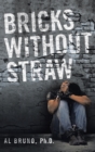 Image for Bricks Without Straw
