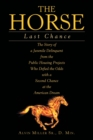 Image for The Horse : Last Chance