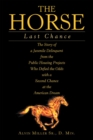 Image for Horse: Last Chance