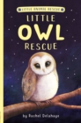 Image for Little Owl Rescue