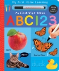 Image for My First Wipe-Clean ABC 123 : Write and Learn!