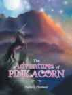 Image for Adventures of Pinkacorn