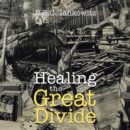 Image for Healing the Great Divide
