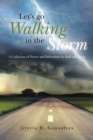 Image for Let&#39;s Go Walking in the Storm