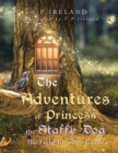 Image for The adventures of Princess the staffy dog  : the fight for Theo Castle