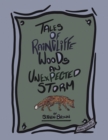 Image for Tales of Raincliffe Woods: An Unexpected Storm