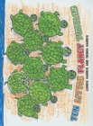 Image for Ten Little Flakey Turtles