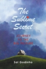 Image for The Sublime Secret : Journey to the Big Picture