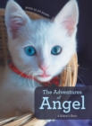 Image for The Adventures of Angel