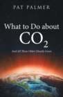 Image for What to Do About Co2: And All Those Other Ghastly Gases