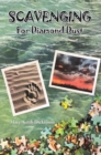 Image for Scavenging for Diamond Dust