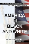 Image for America in Black and White: And Why Democracy Has Failed