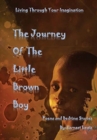 Image for The Journey of The Little Brown Boy