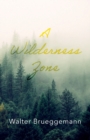 Image for A Wilderness Zone