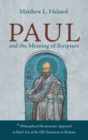 Image for Paul and the Meaning of Scripture