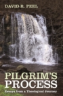 Image for Pilgrim&#39;s Process: Essays from a Theological Journey
