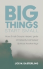 Image for Big Things Start Small