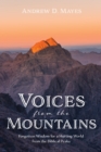 Image for Voices from the Mountains: Forgotten Wisdom for a Hurting World from the Biblical Peaks