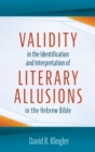 Image for Validity in the Identification and Interpretation of Literary Allusions in the Hebrew Bible