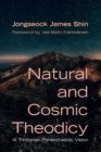 Image for Natural and Cosmic Theodicy