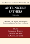 Image for Ante-Nicene Fathers : Translations of the Writings of the Fathers Down to A.D. 325, Volume 4