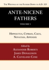 Image for Ante-Nicene Fathers : Translations of the Writings of the Fathers Down to A.D. 325, Volume 5