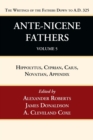 Image for Ante-Nicene Fathers : Translations of the Writings of the Fathers Down to A.D. 325, Volume 5