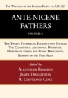 Image for Ante-Nicene Fathers : Translations of the Writings of the Fathers Down to A.D. 325, Volume 8