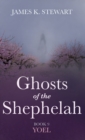 Image for Ghosts of the Shephelah, Book 9