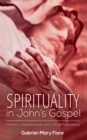 Image for Spirituality in John&#39;s Gospel: Historical Developments and Critical Foundations