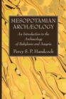 Image for Mesopotamian Archaeology